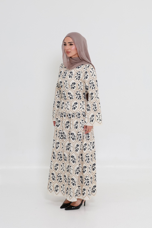 Amira